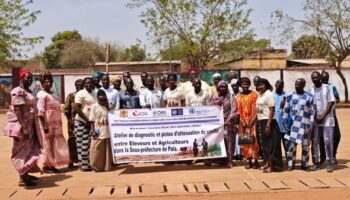 Renforcement de la paix : diagnostic des conflits éleveurs-agriculteurs dans le Mayo-Kebbi Ouest