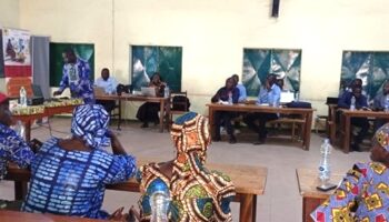 Inclusion financière au sud du Tchad : ateliers de mise en relation EMF–AVEC/CECI