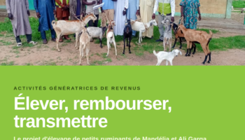 Good Neighbors Chad renforce l’autonomie des familles grâce à un système de transmission de chèvres