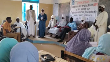 CIAUD Tchad:  Renforcement des capacités des producteurs et des jeunes en entrepreneuriat