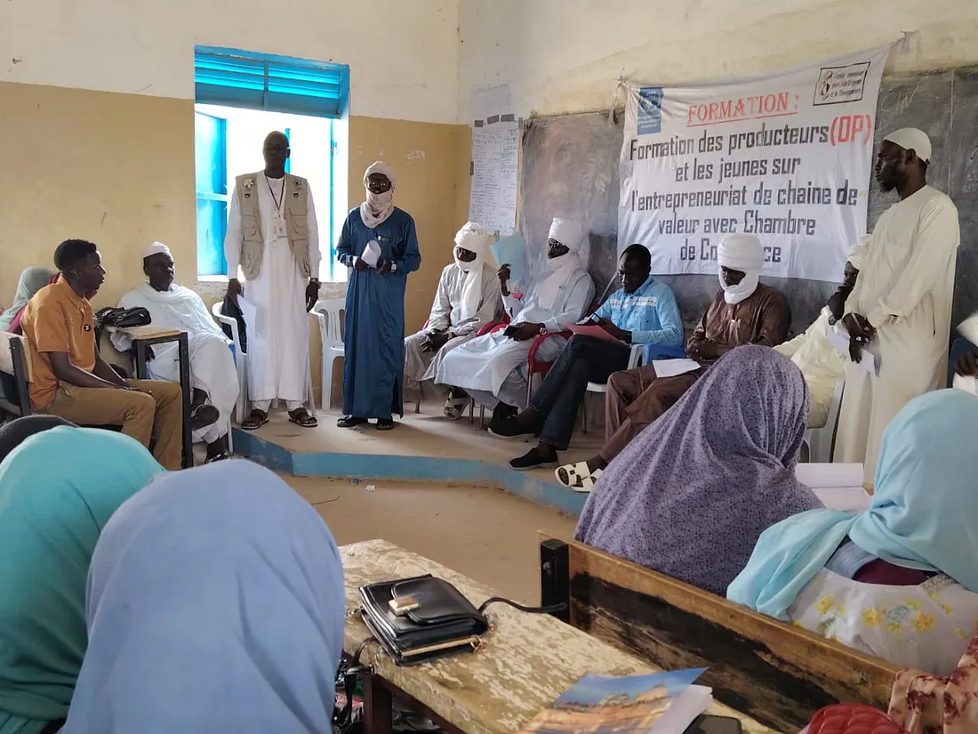 Vous consultez actuellement CIAUD Tchad:  Renforcement des capacités des producteurs et des jeunes en entrepreneuriat