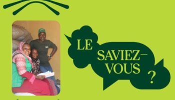 SOCODEVI met en œuvre trois projets au Tchad pour renforcer la résilience des communautés