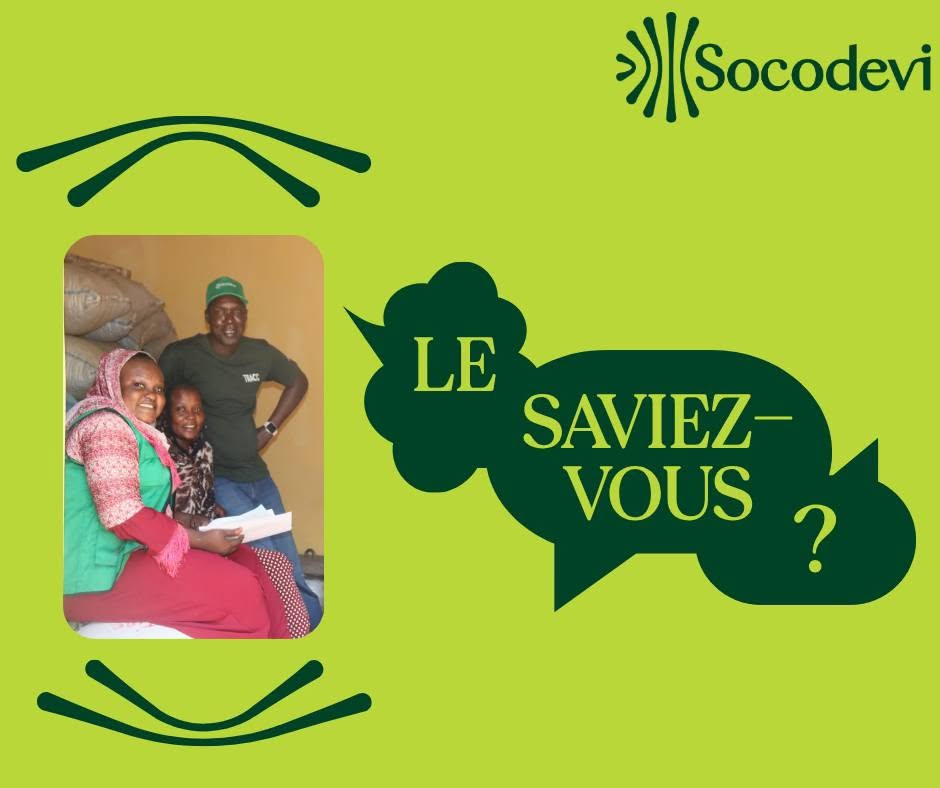 Vous consultez actuellement SOCODEVI met en œuvre trois projets au Tchad pour renforcer la résilience des communautés