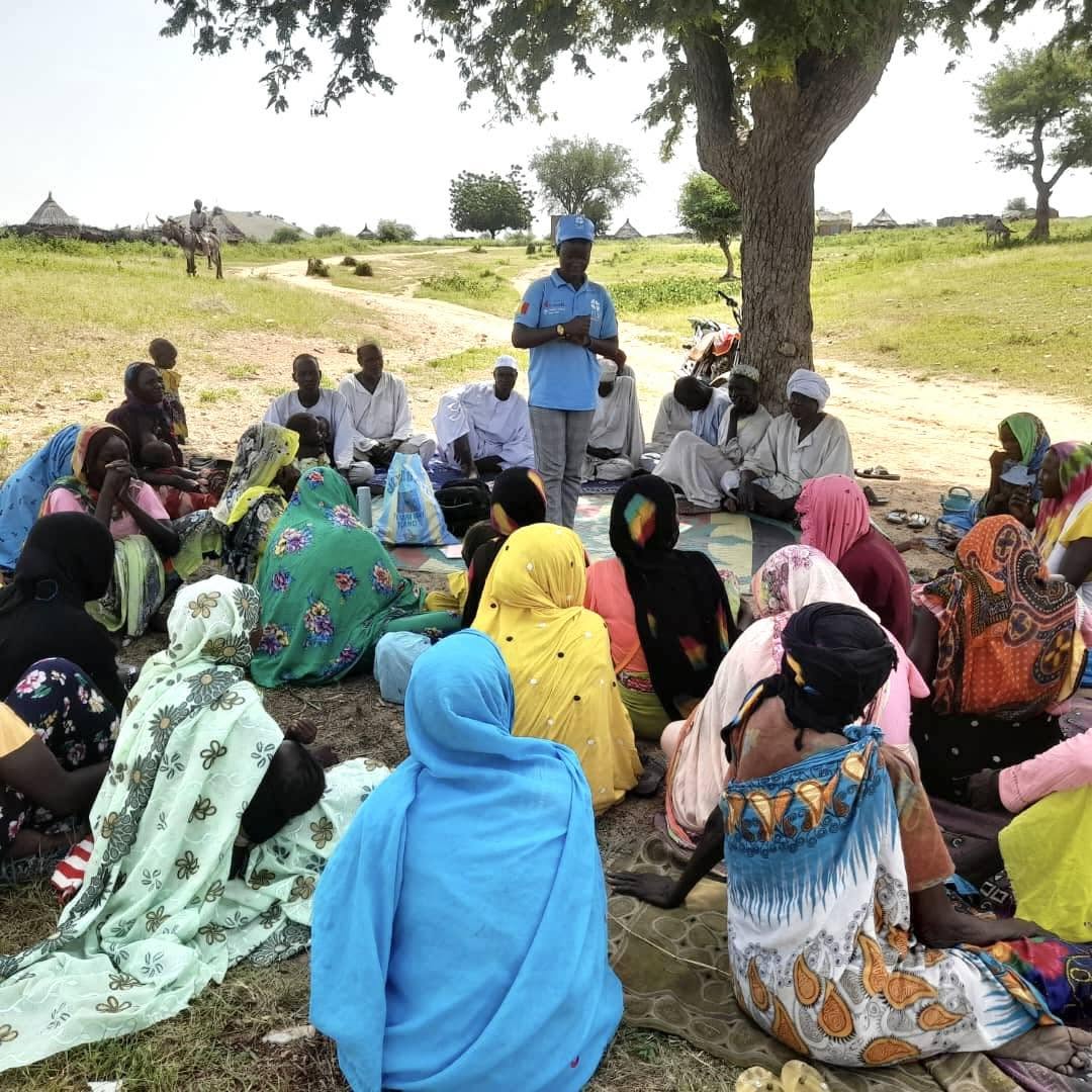 Vous consultez actuellement PROTECTION & LUTTE CONTRE LES VB