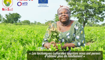 TEMOIGNAGE | Quand les savoirs agricoles améliorent les rendements