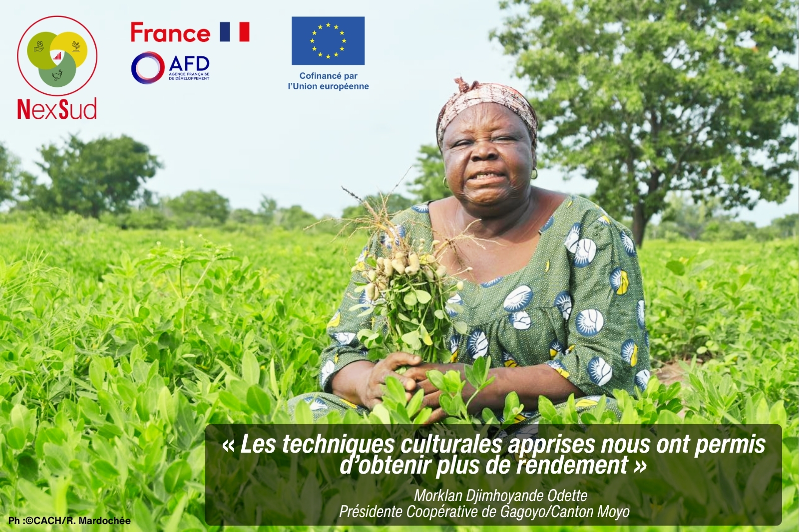 Vous consultez actuellement TEMOIGNAGE | Quand les savoirs agricoles améliorent les rendements